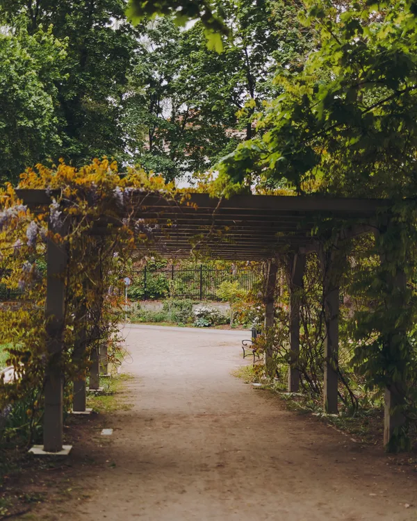 The Flower Arch