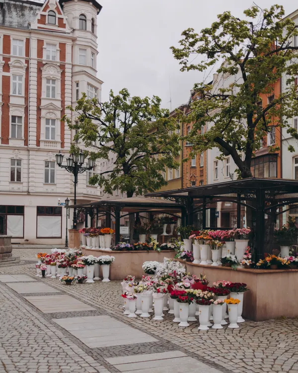 The Flowers Market