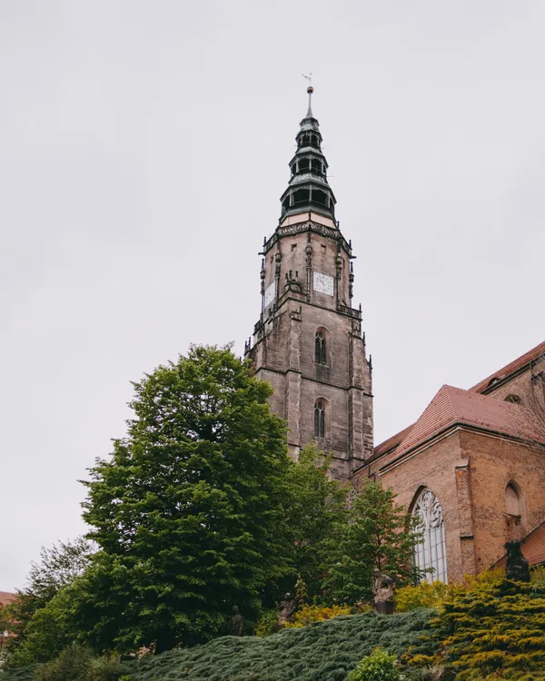 The Gothic Tower of the Cathedral