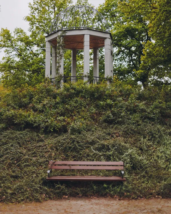 The Observation Desk