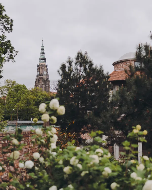 The View of the Cathedral