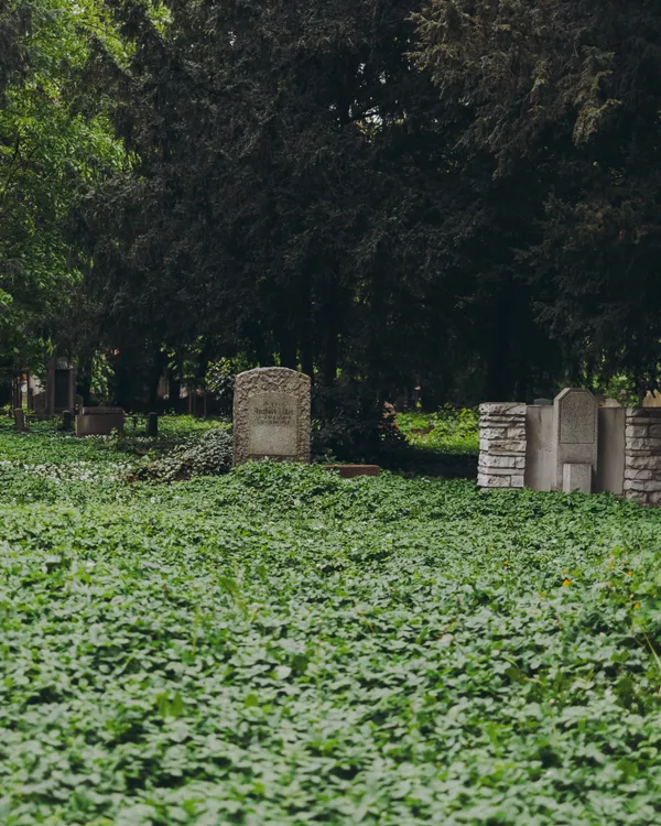 The old gravestones