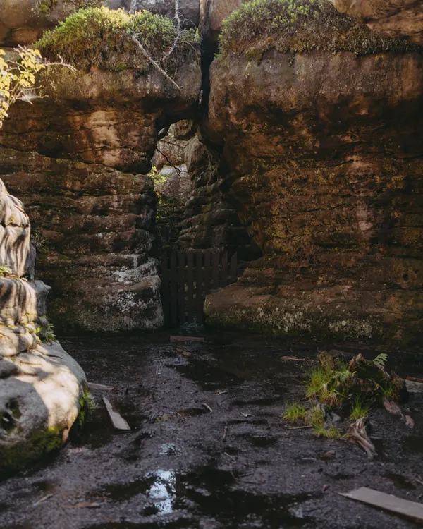 Swamps inside the labyrinth