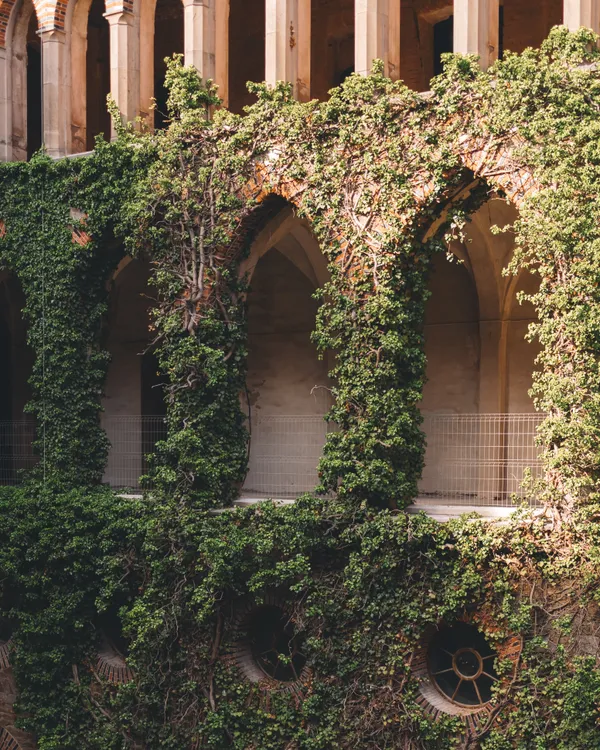 The palace arches