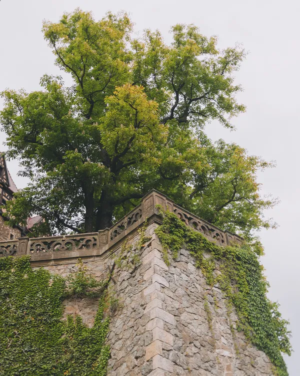 Ksiaz Castle Terrace details