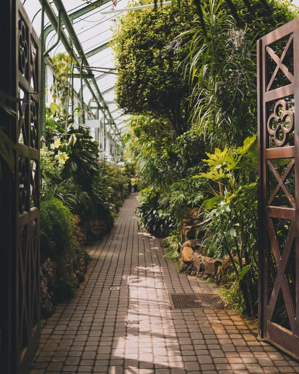 Palm House Inside