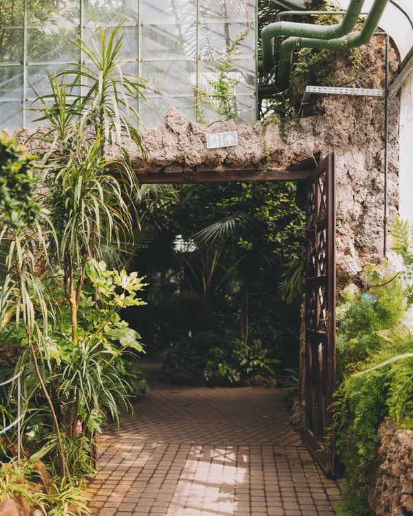 Palm House Of Ksiaz Castle