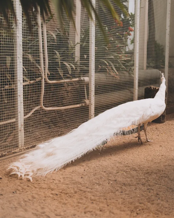 Palm House residents