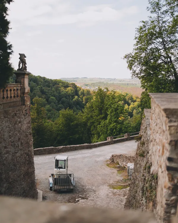 View from the Castle to the woods