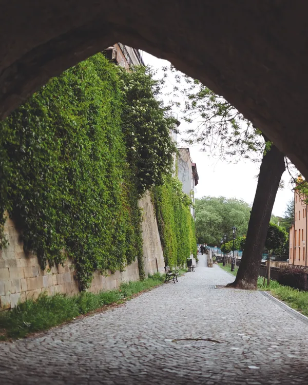 Walking path near the canal